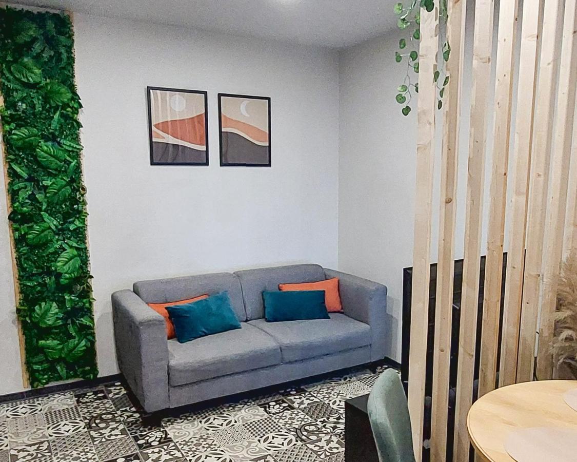 Artgrey * Ideal Pro * Roanne Secteur Gare Et Rue Pietonnes Zewnętrze zdjęcie